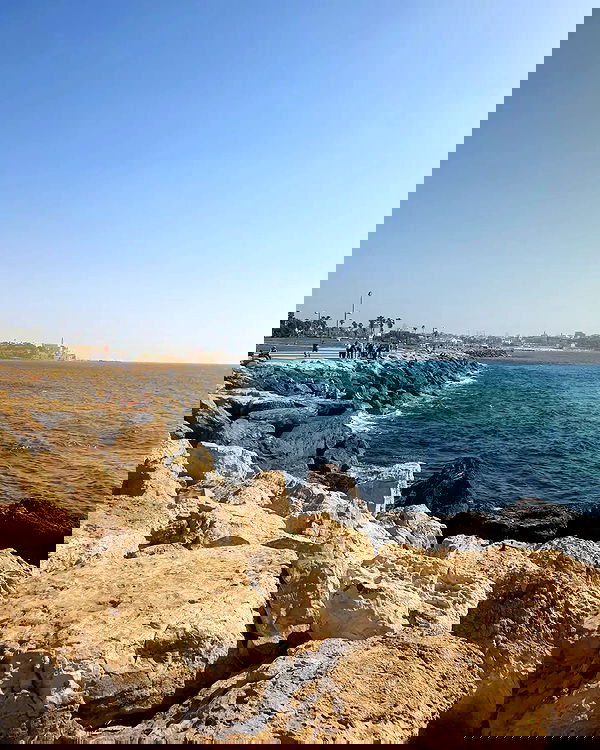 yam_adler image ~ Altpins