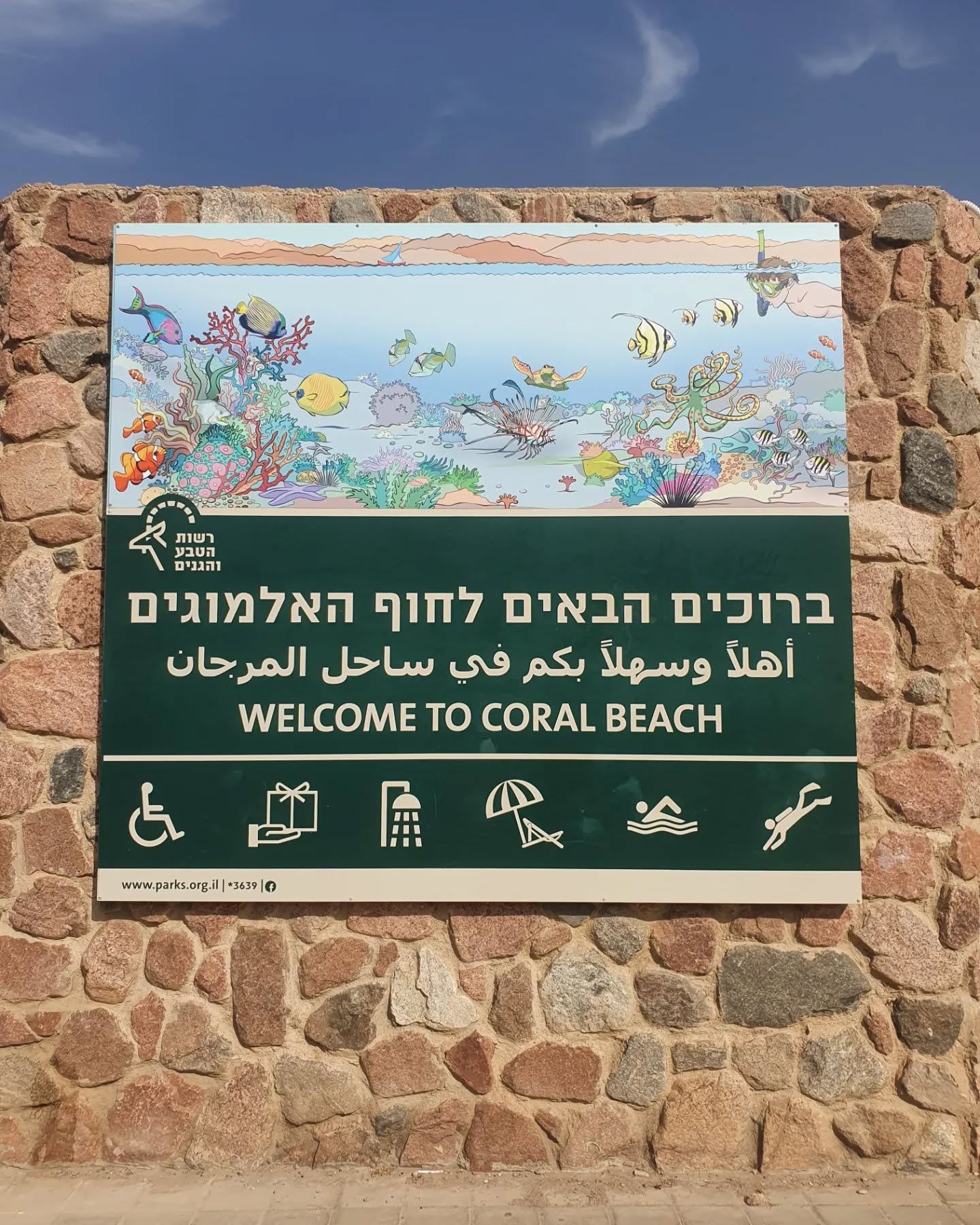 yam_adler instagram image archive image