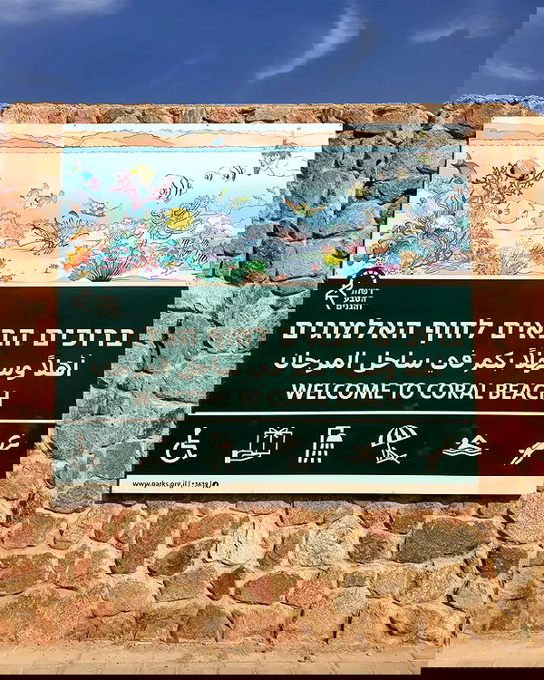 yam_adler image ~ Altpins