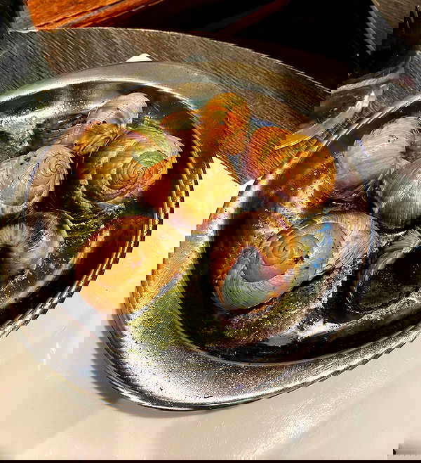 yam_adler image ~ Altpins