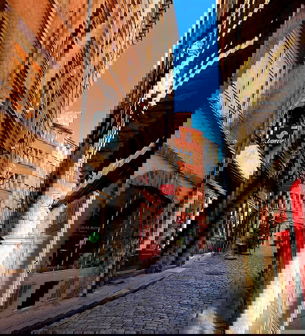 yam_adler image ~ Altpins