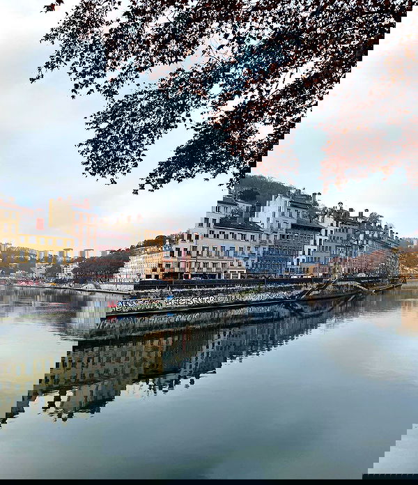 yam_adler image ~ Altpins