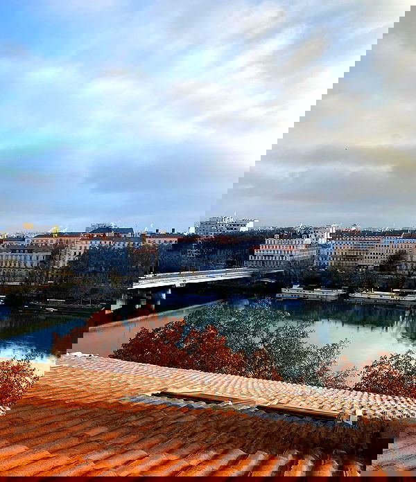 yam_adler image ~ Altpins