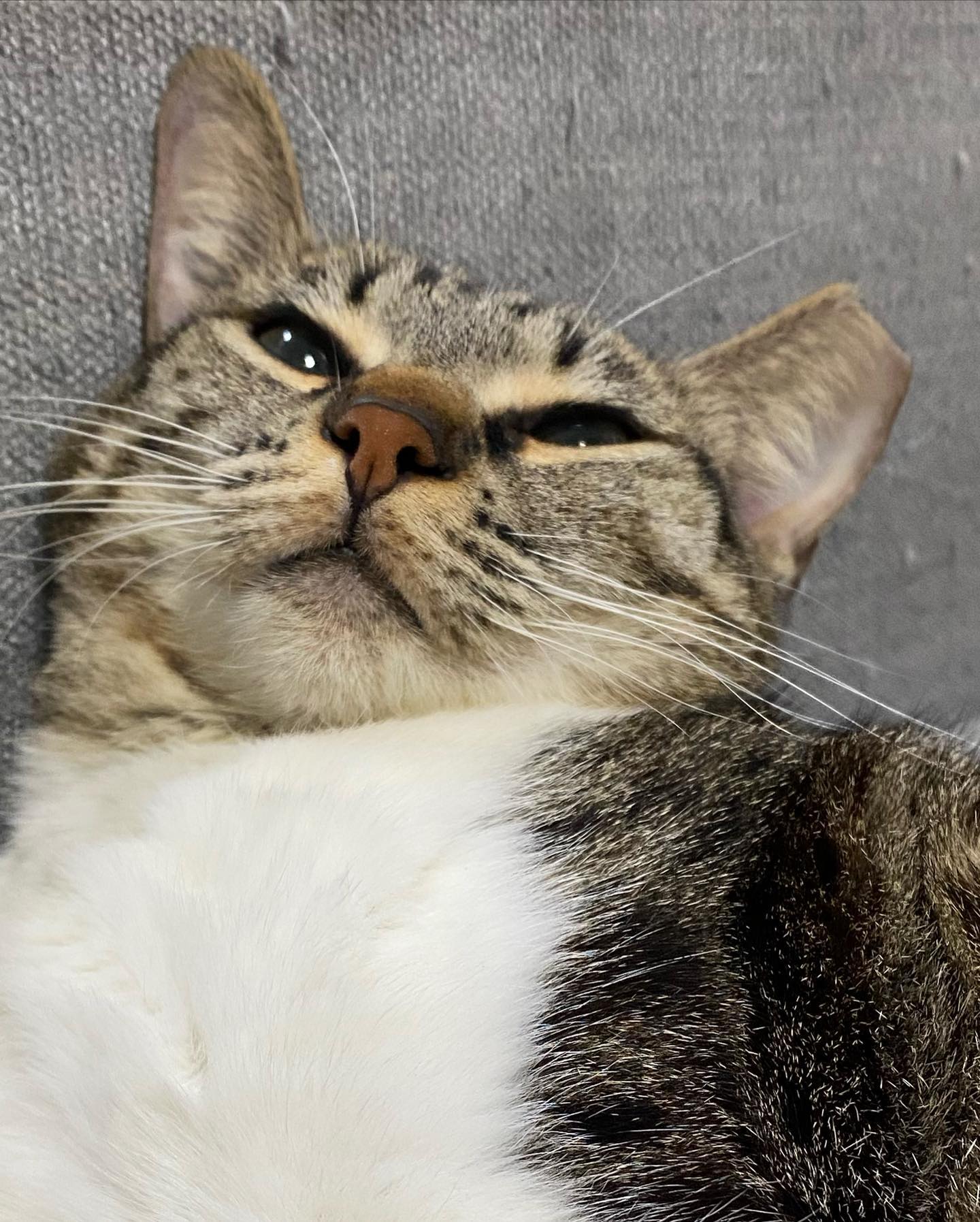 yam_adler instagram image archive image