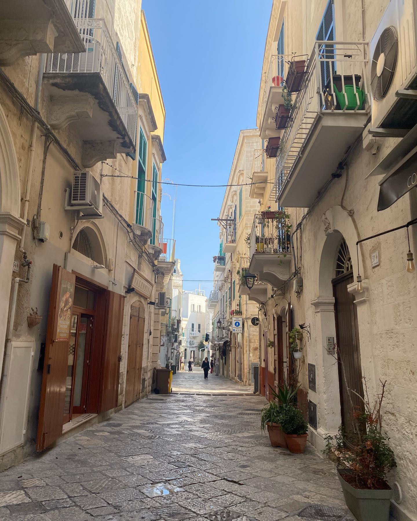 yam_adler instagram image archive image