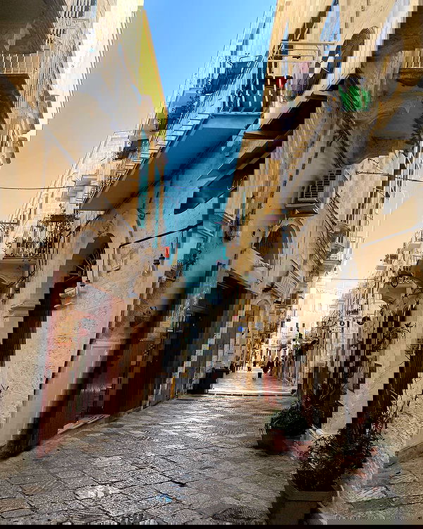 yam_adler image ~ Altpins