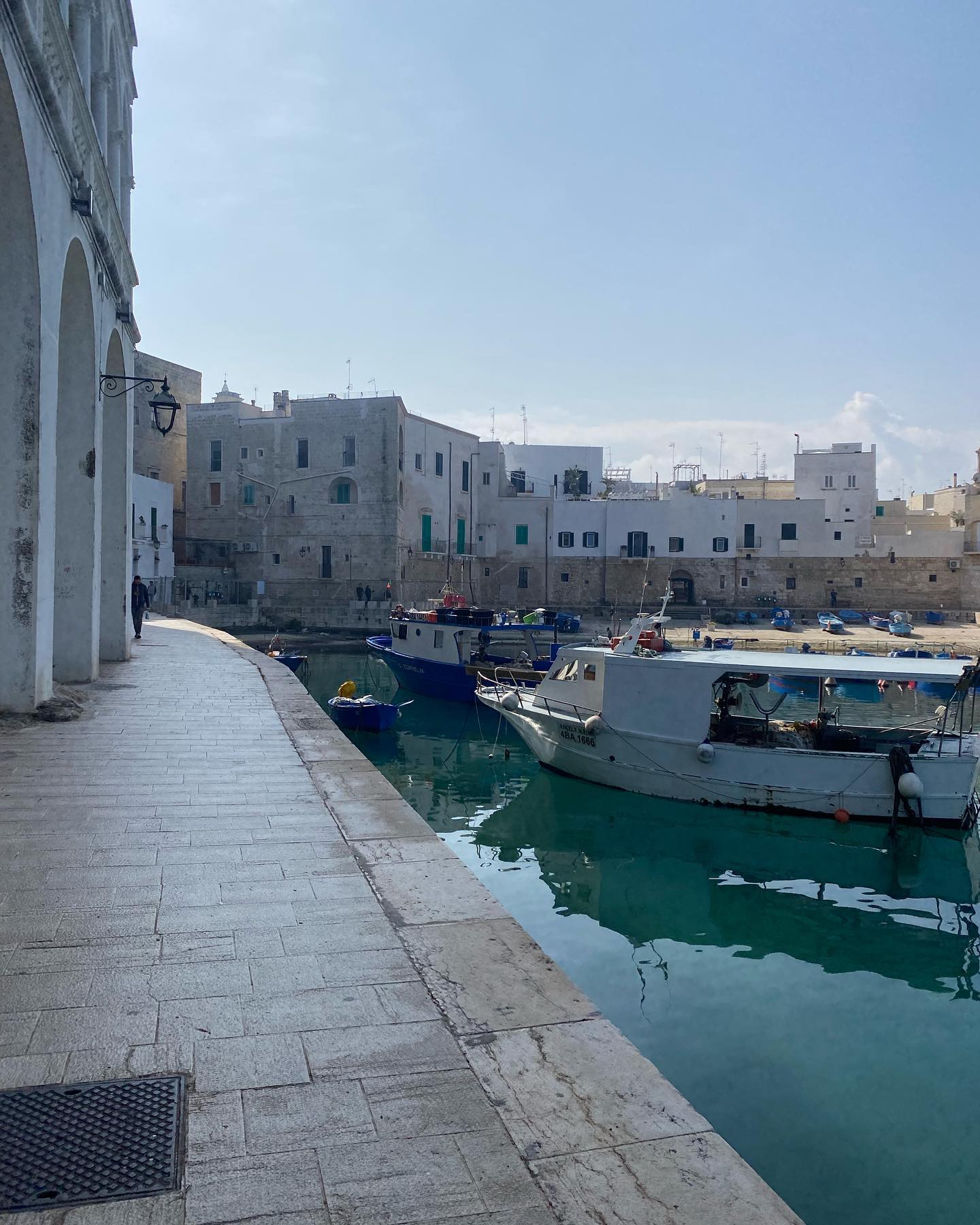 yam_adler instagram image archive image