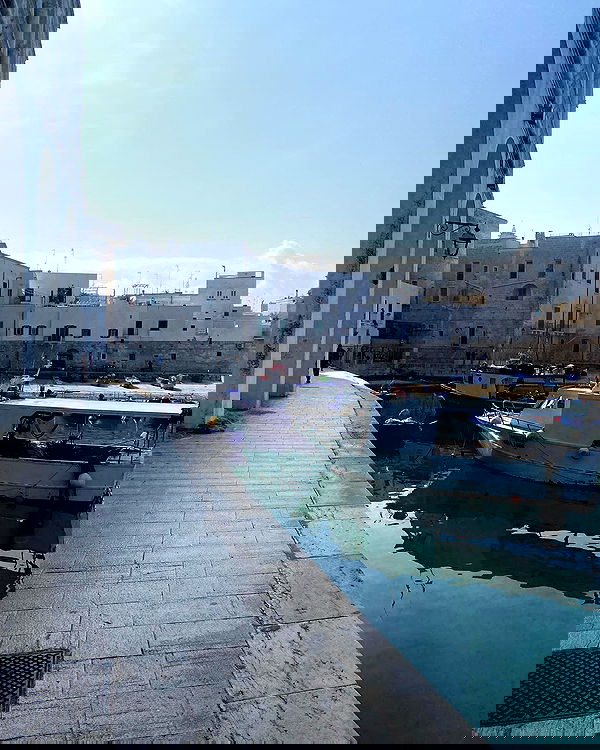 yam_adler image ~ Altpins