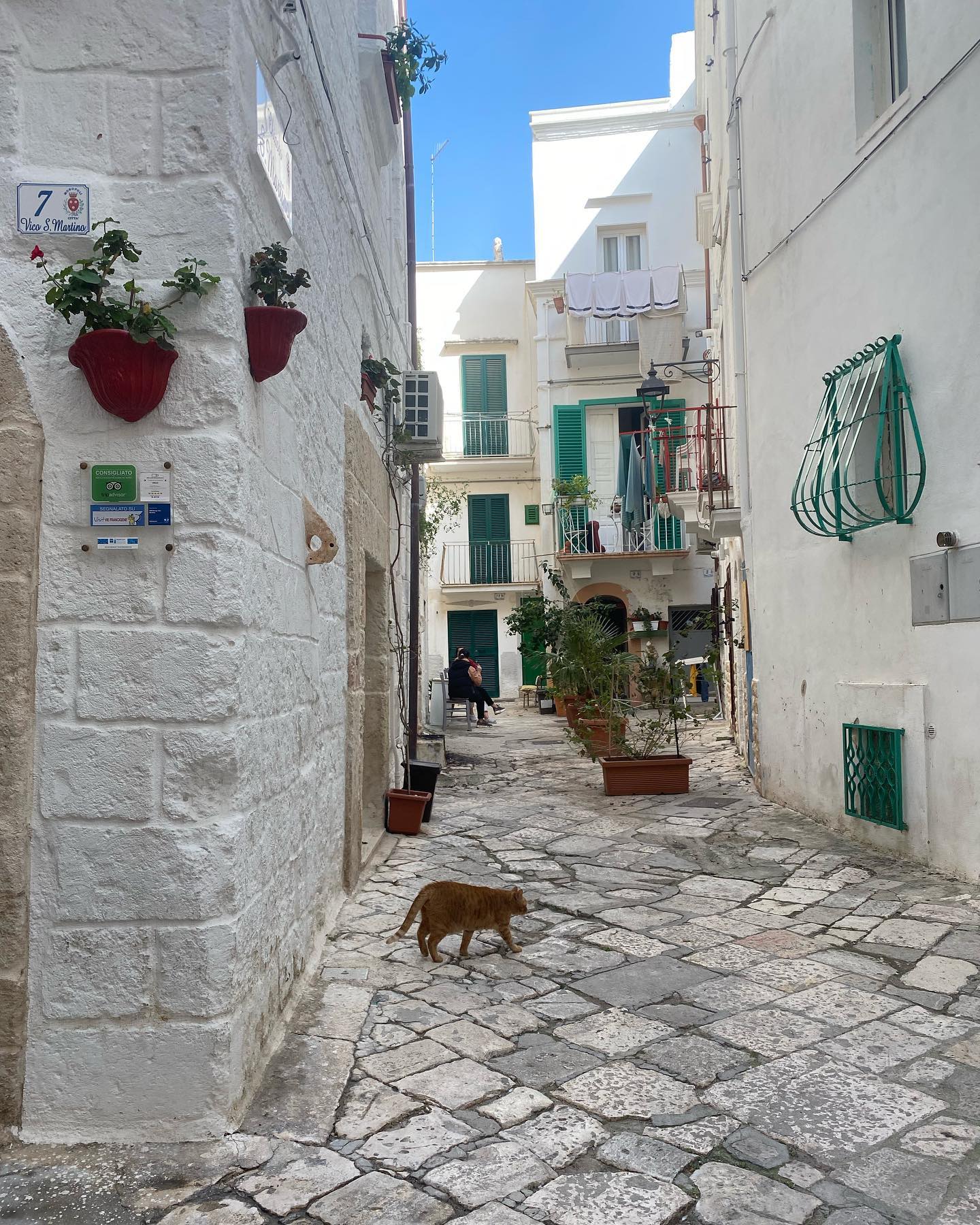 yam_adler instagram image archive image