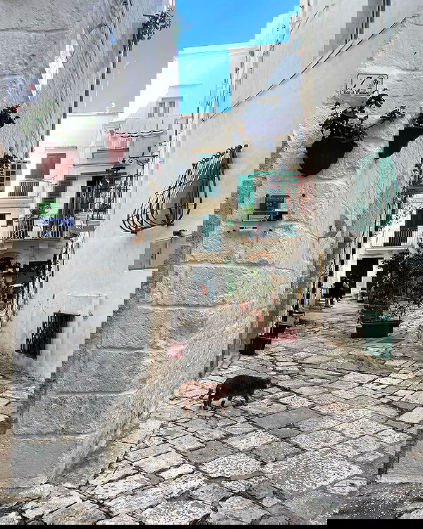 yam_adler image ~ Altpins