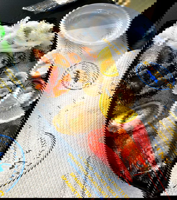 yam_adler image ~ Altpins