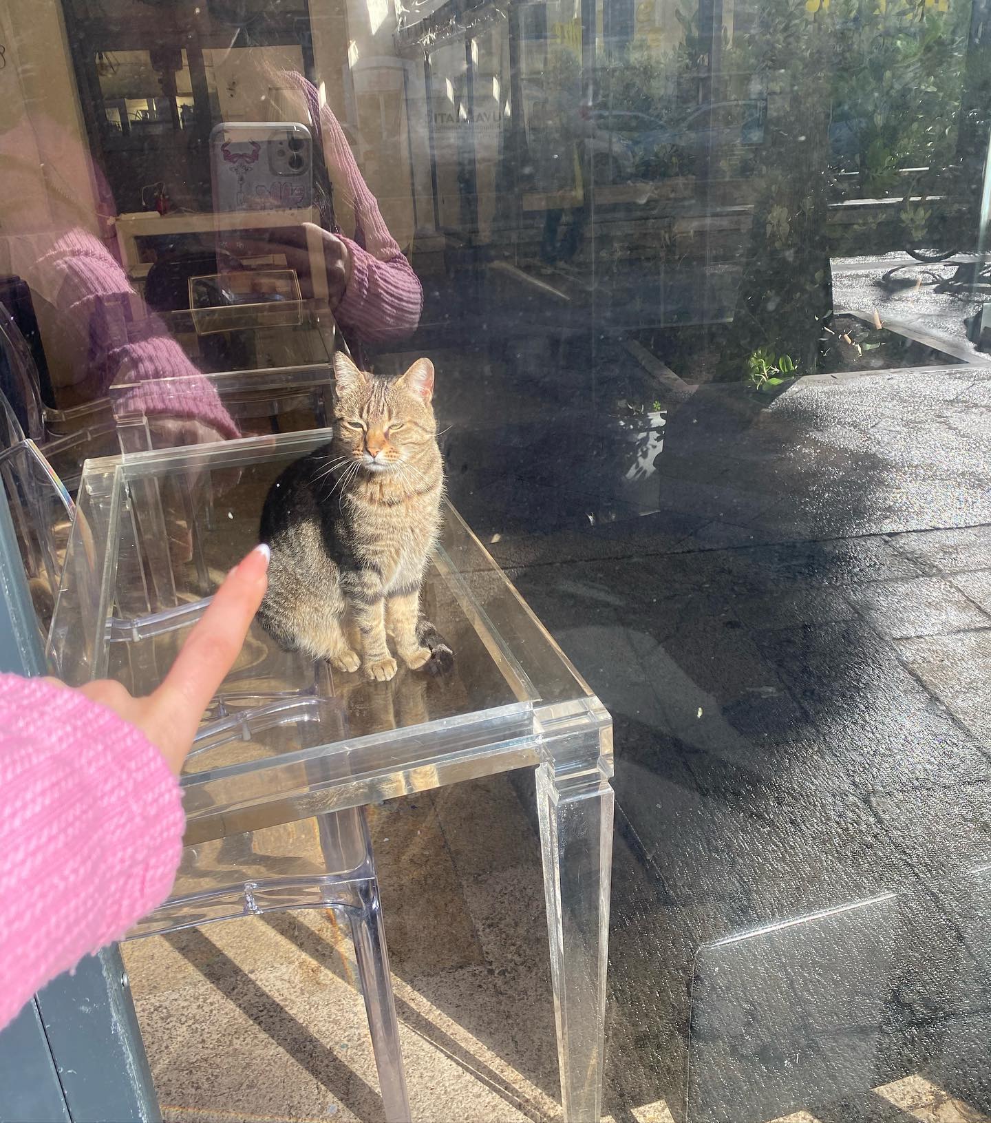 yam_adler instagram image archive image