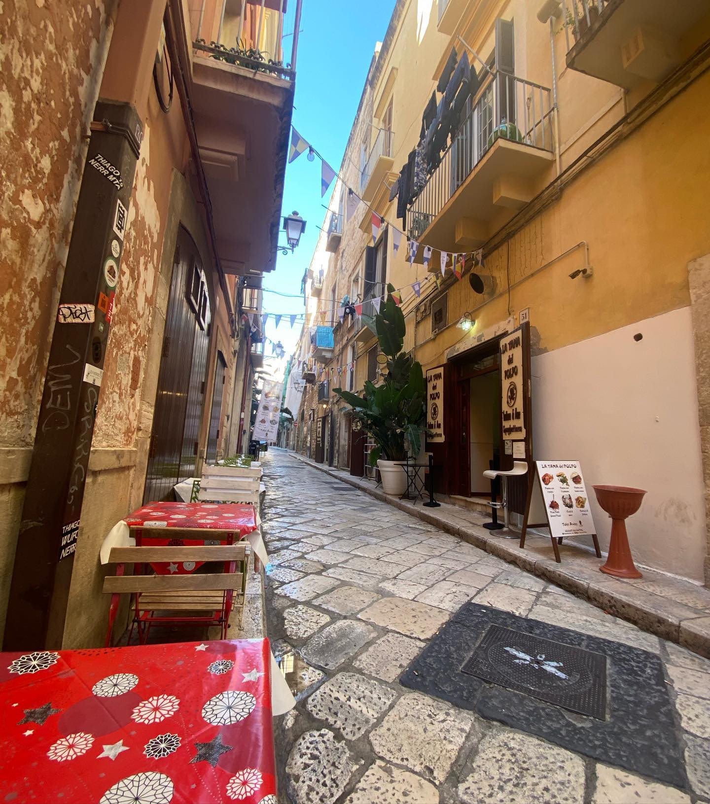 yam_adler instagram image archive image