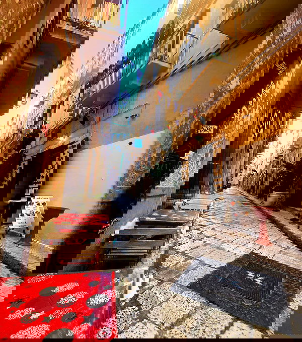 yam_adler image ~ Altpins