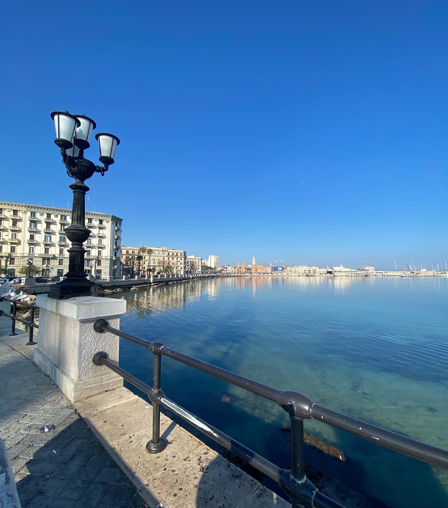 yam_adler instagram image archive image