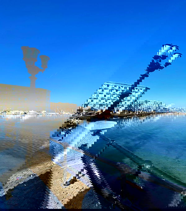 yam_adler image ~ Altpins