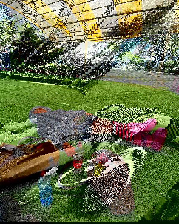 yam_adler image ~ Altpins