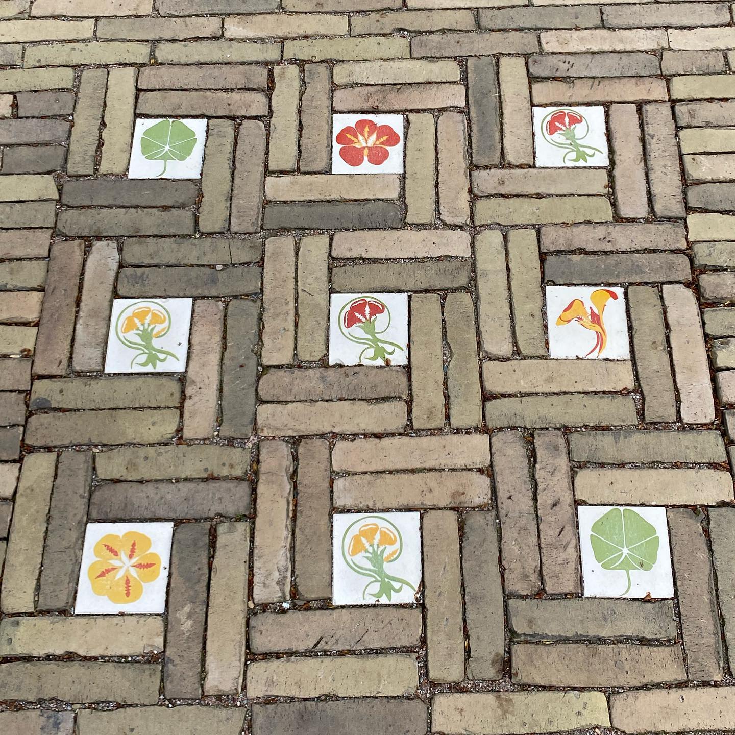 yam_adler instagram image archive image