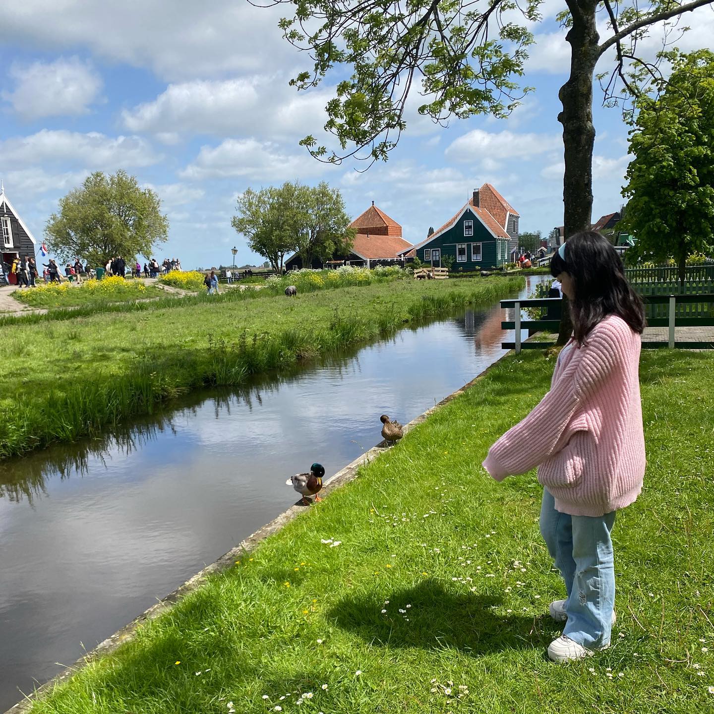 yam_adler instagram image archive image