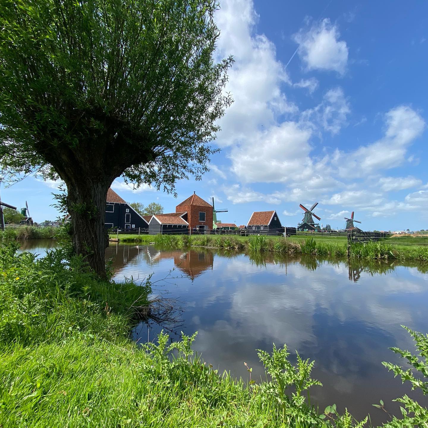 yam_adler instagram image archive image