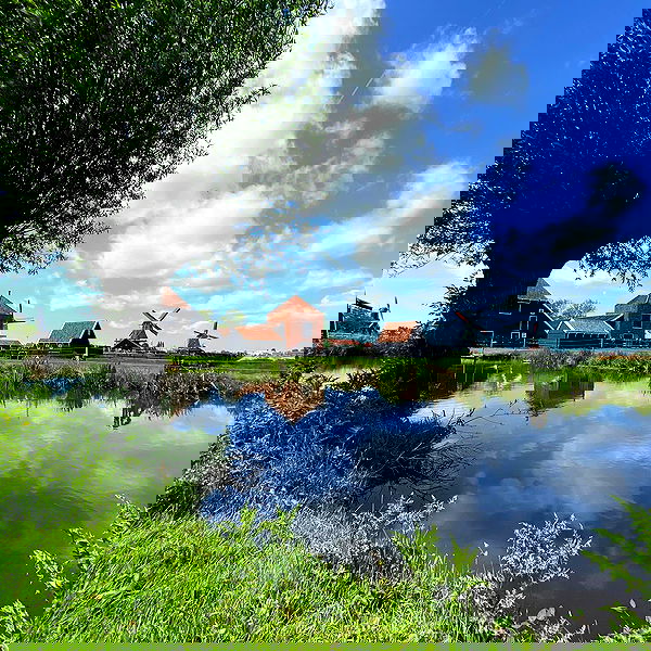 yam_adler image ~ Altpins