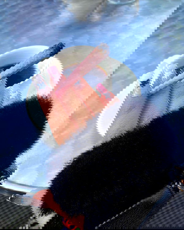 yam_adler image ~ Altpins