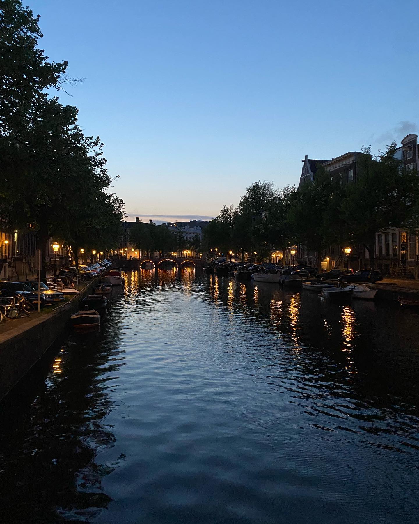 yam_adler instagram image archive image