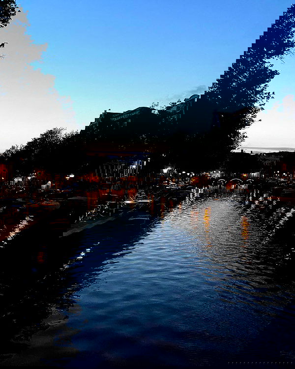 yam_adler image ~ Altpins