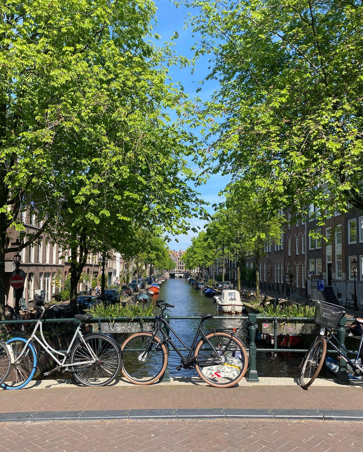 yam_adler instagram image archive image