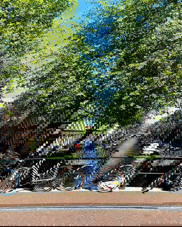 yam_adler image ~ Altpins