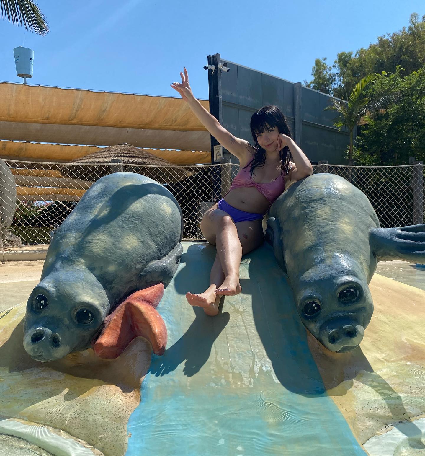 yam_adler instagram image archive image