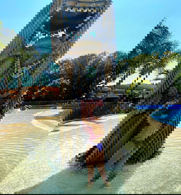 yam_adler image ~ Altpins