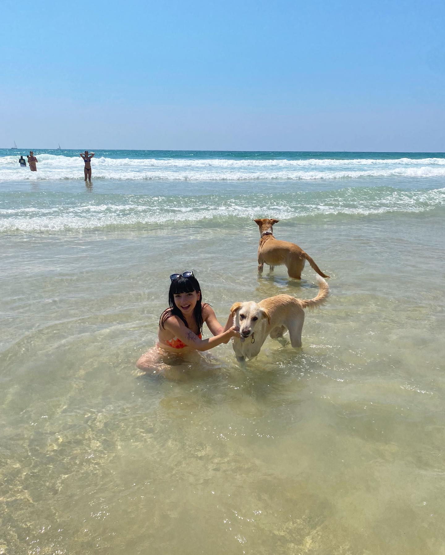 yam_adler instagram image archive image