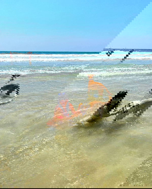 yam_adler image ~ Altpins