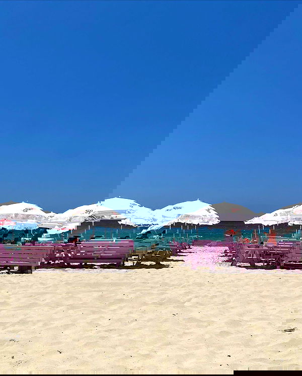 yam_adler image ~ Altpins