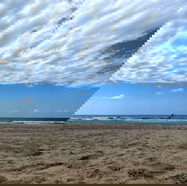 yam_adler image ~ Altpins