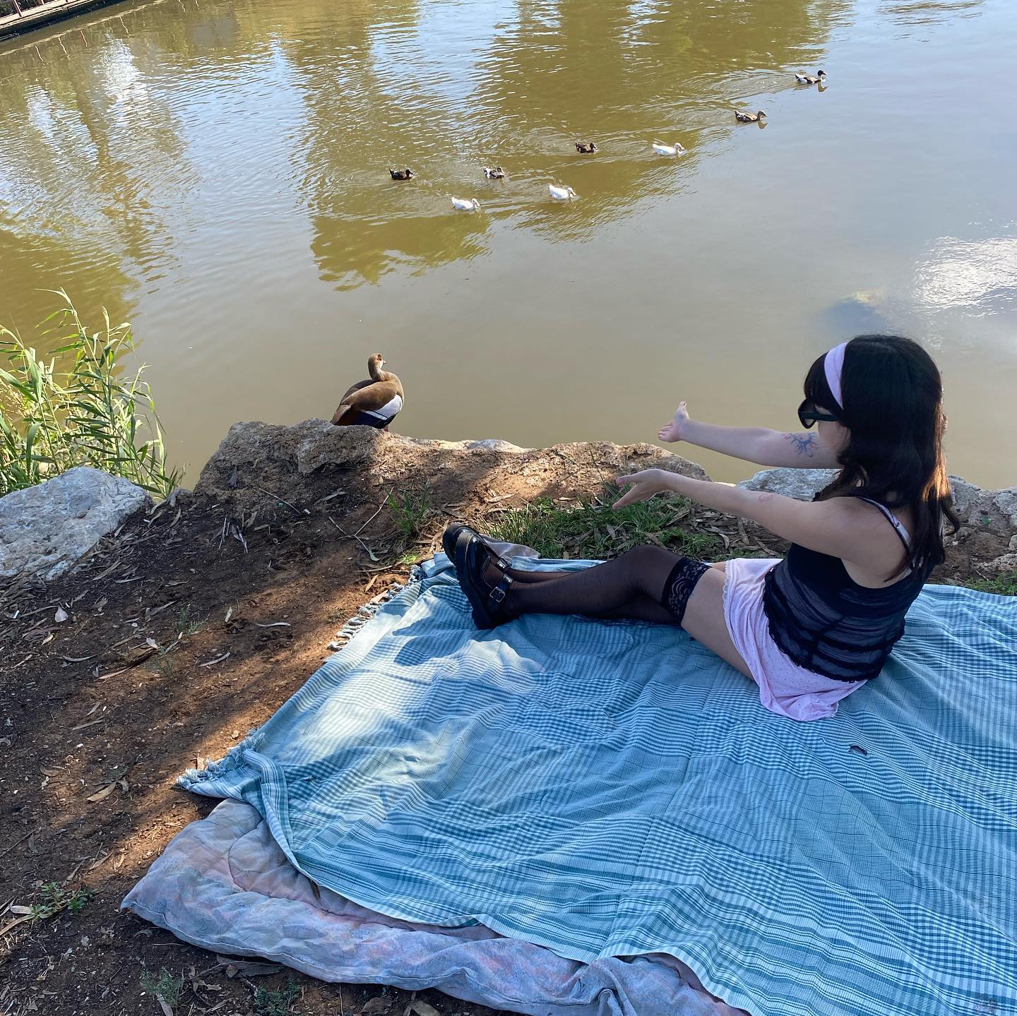 yam_adler instagram image archive image