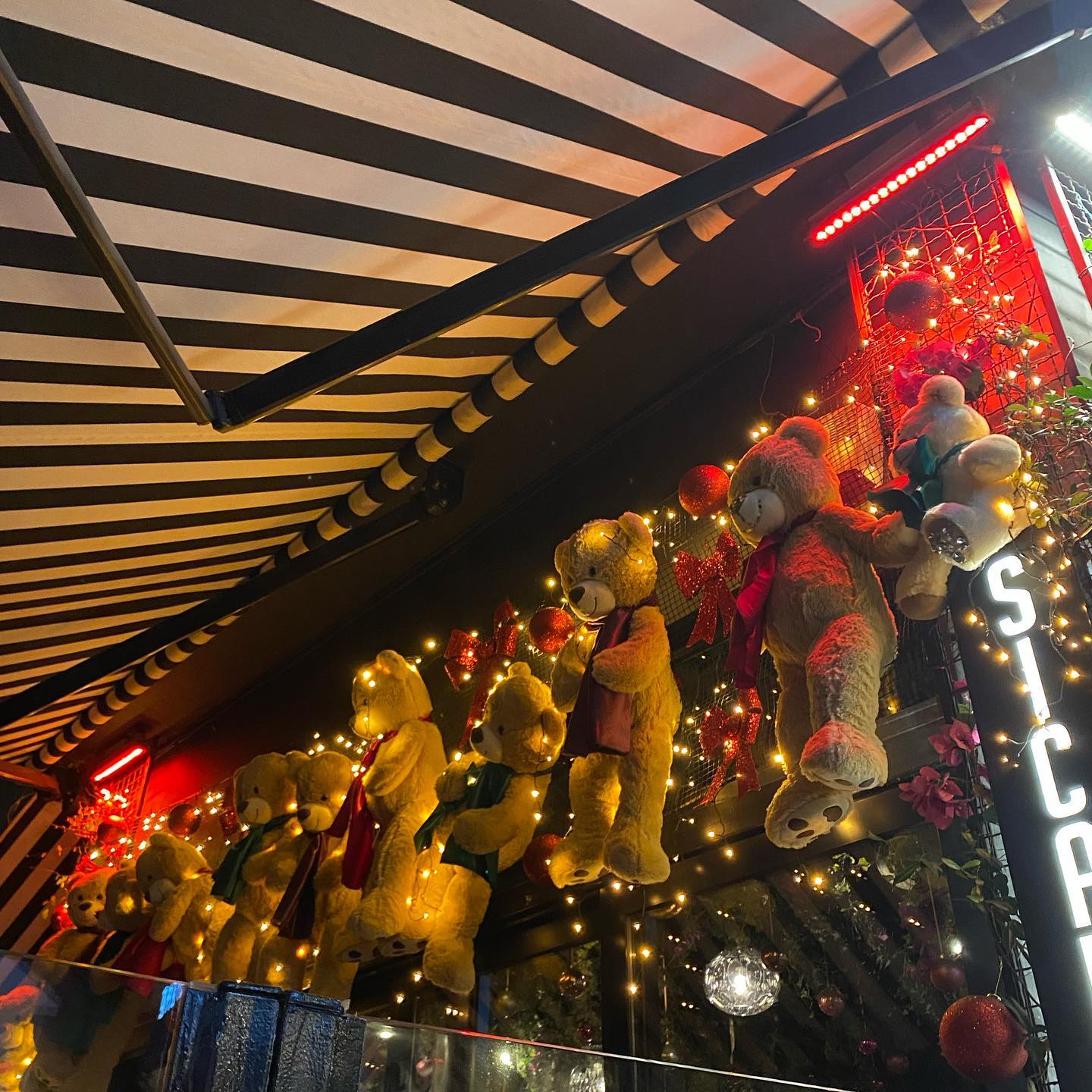 yam_adler instagram image archive image