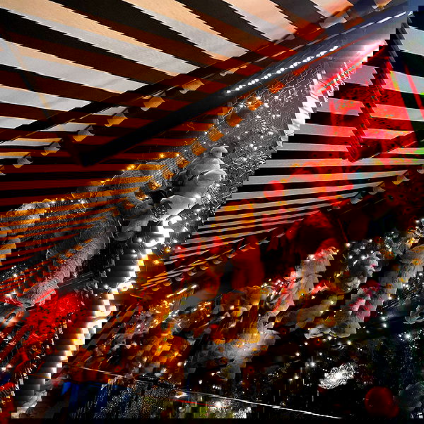 yam_adler image ~ Altpins