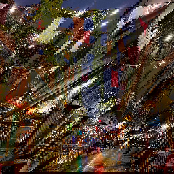 yam_adler image ~ Altpins