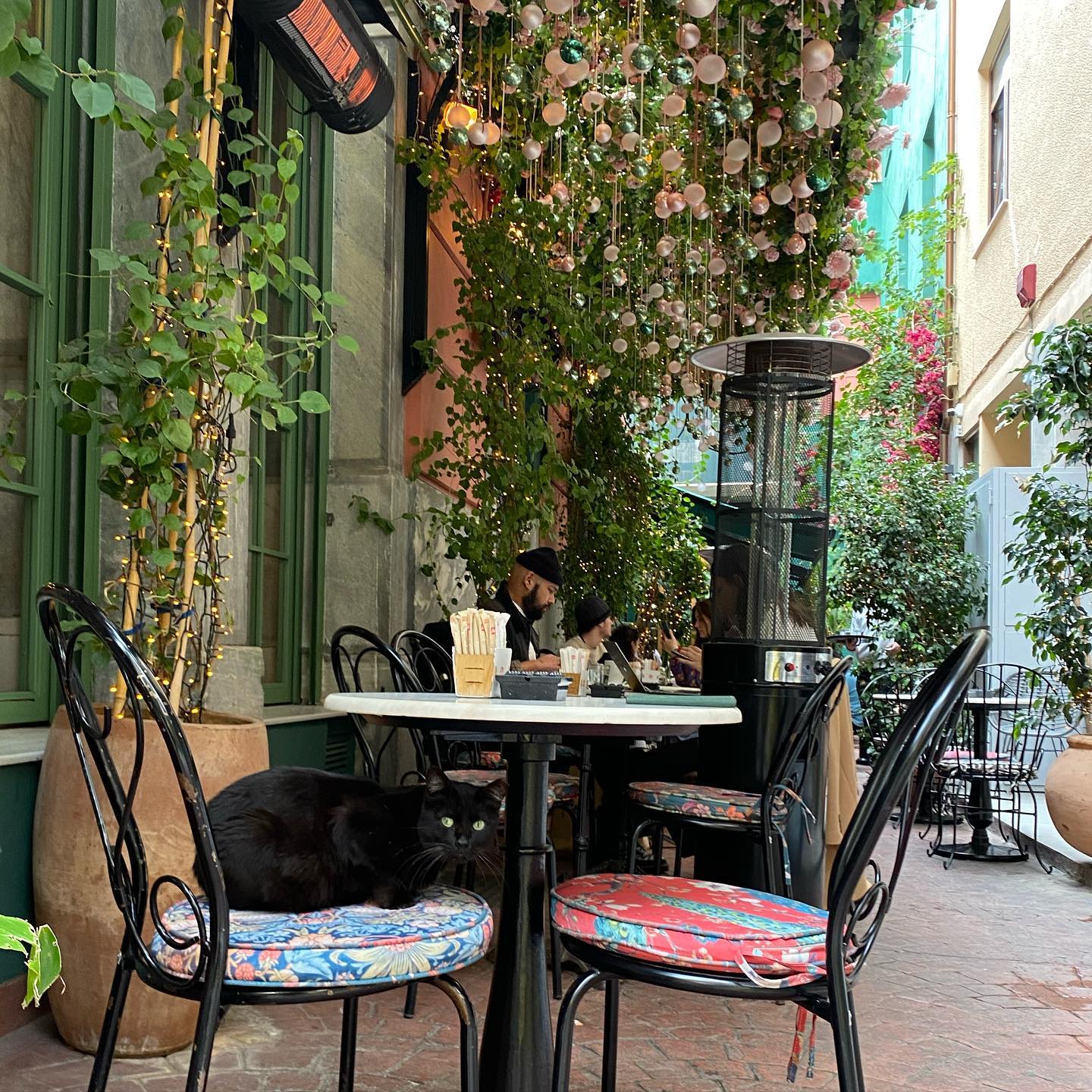 yam_adler instagram image archive image