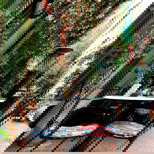 yam_adler image ~ Altpins