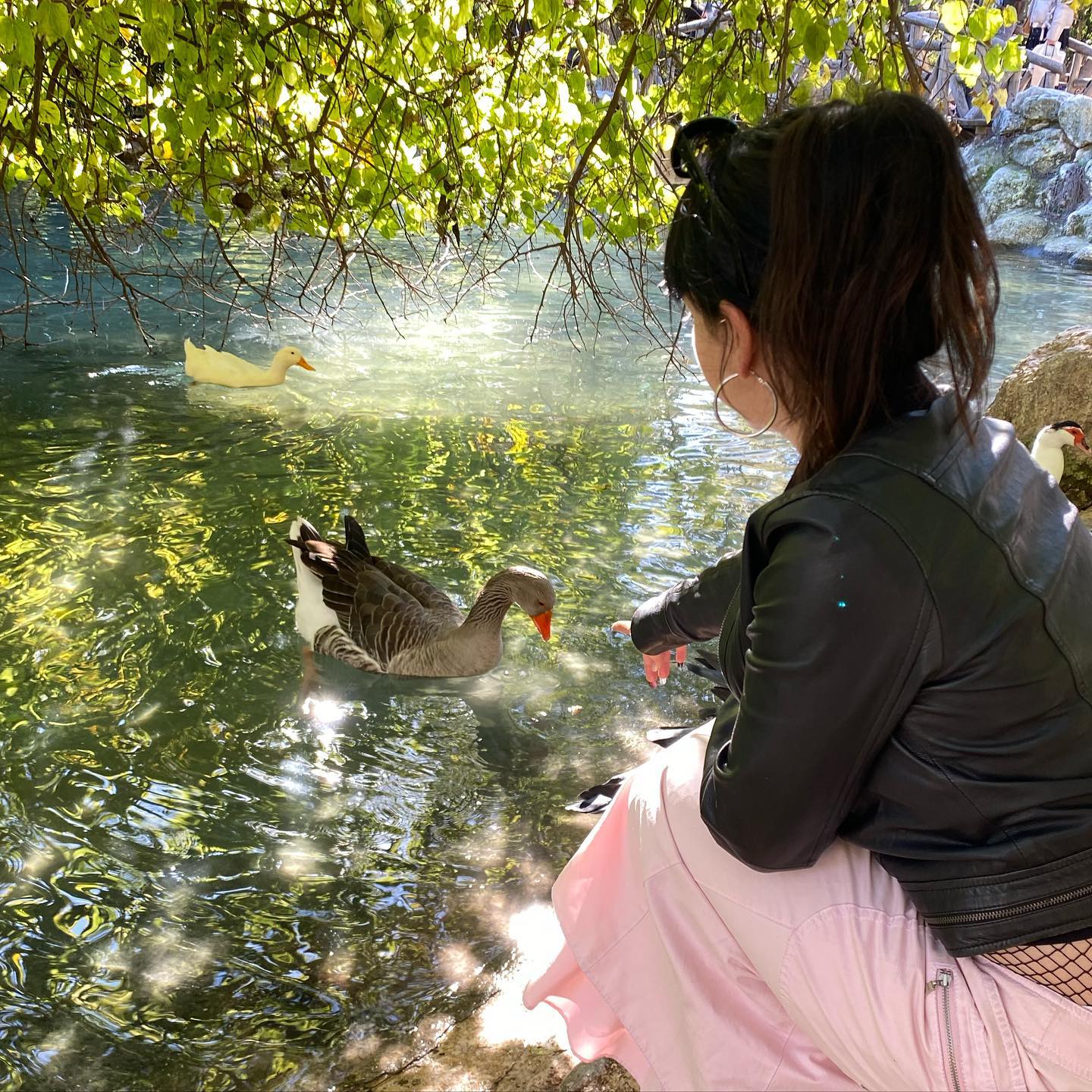 yam_adler instagram image archive image