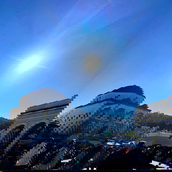 yam_adler image ~ Altpins