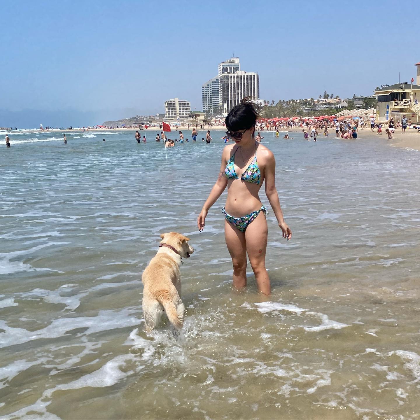 yam_adler instagram image archive image