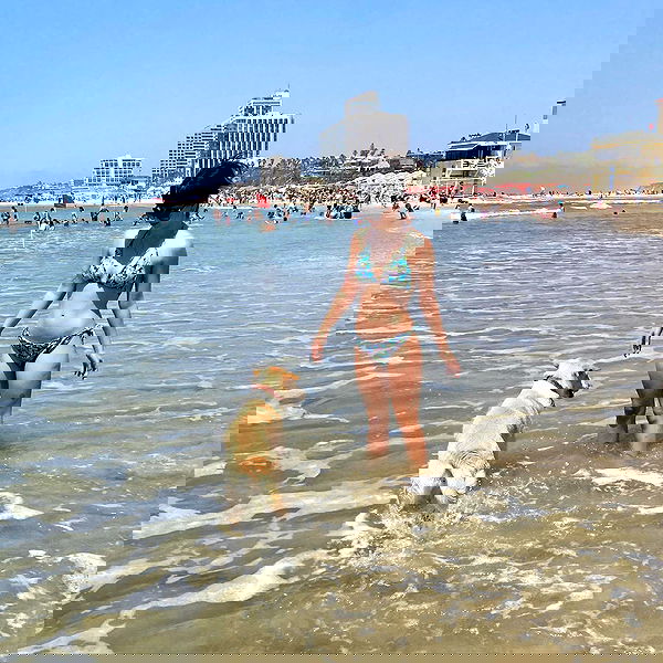 yam_adler image ~ Altpins