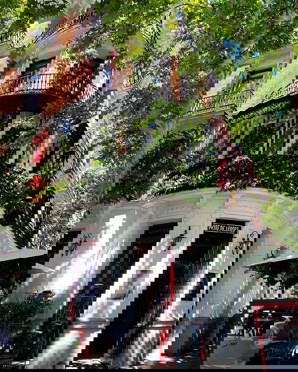 yam_adler image ~ Altpins