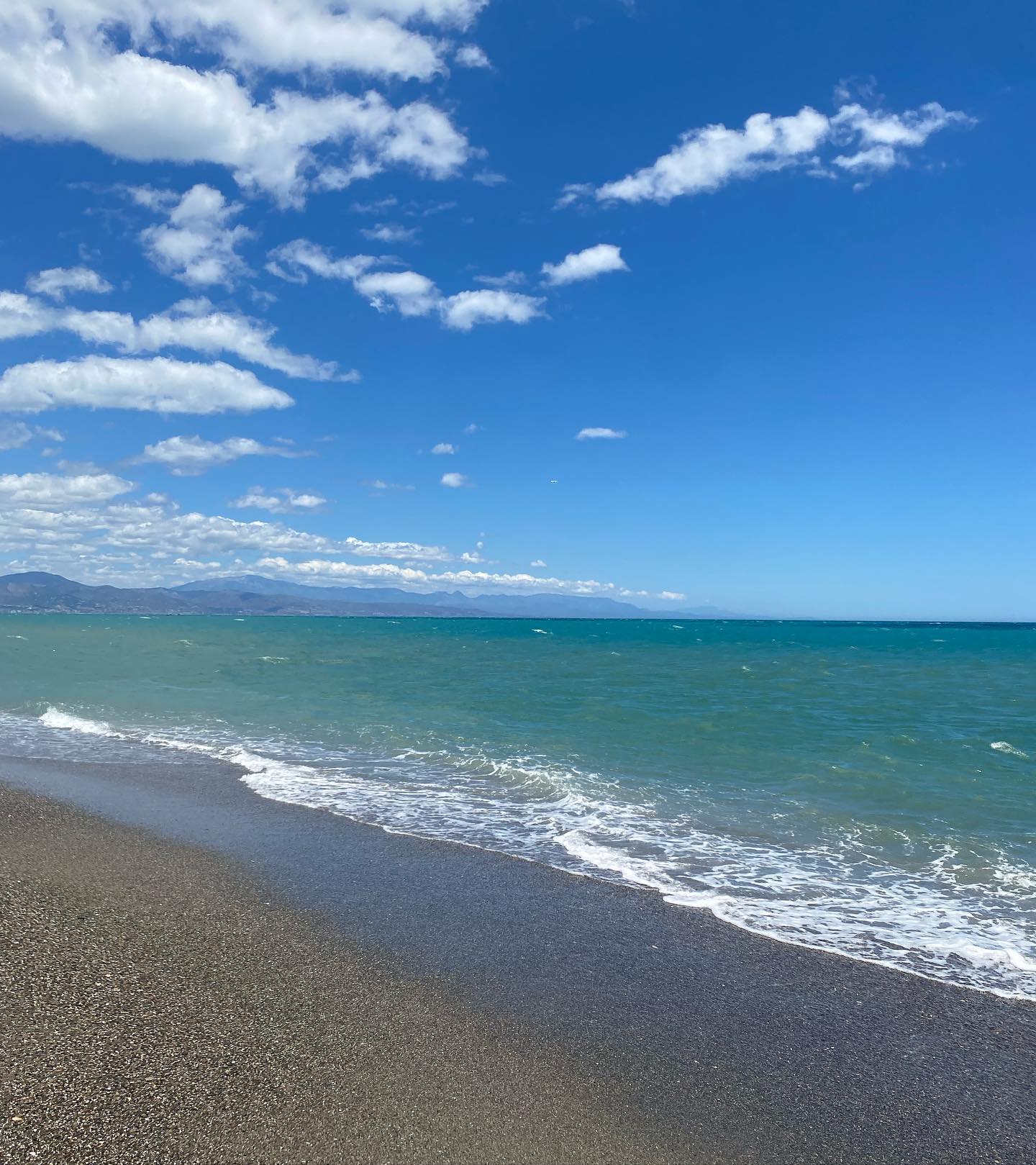 yam_adler instagram image archive image