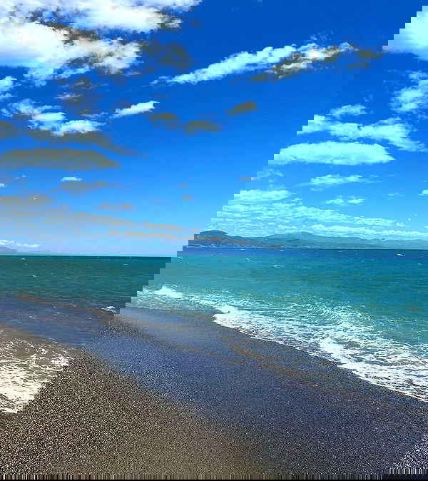 yam_adler image ~ Altpins