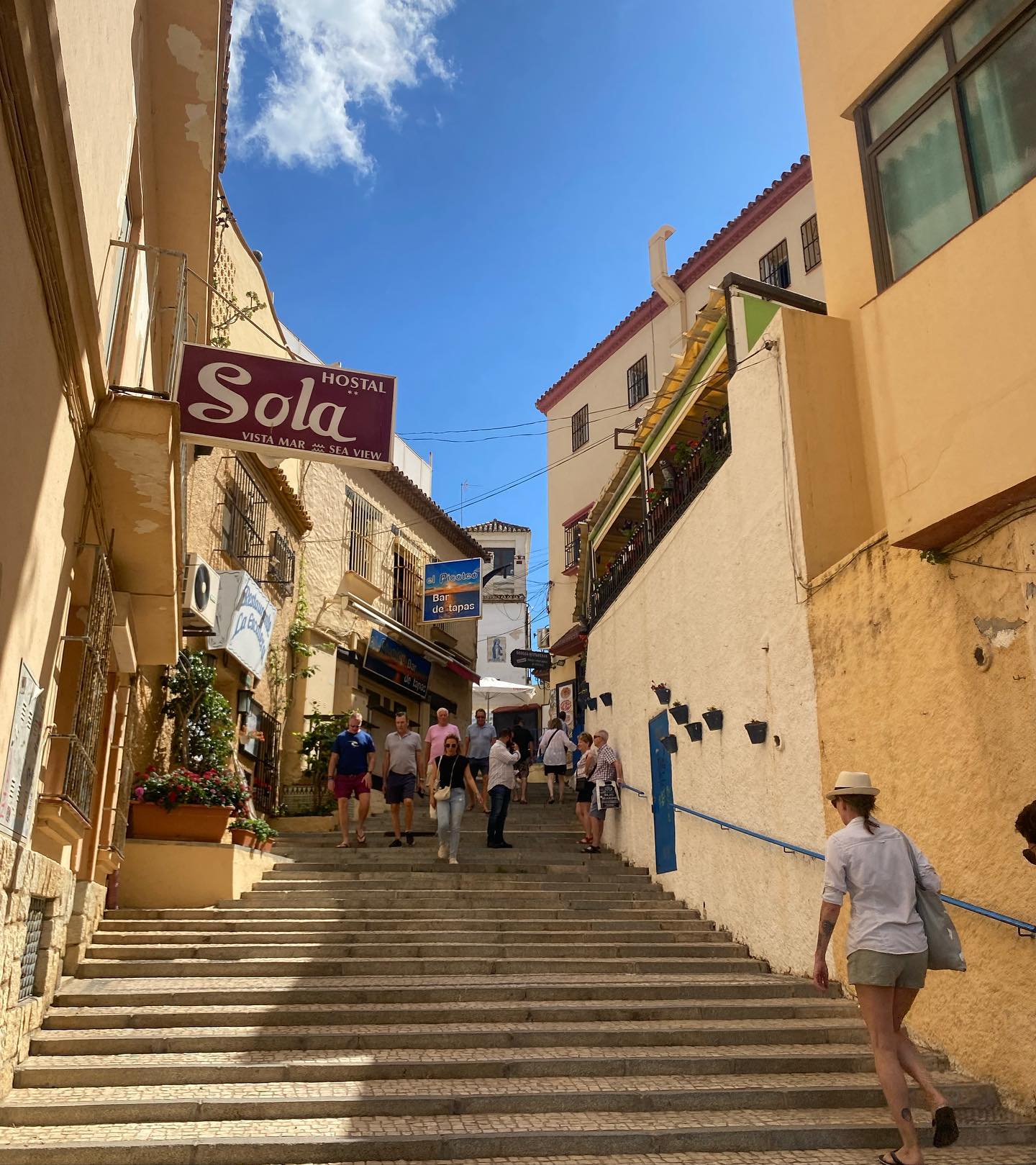 yam_adler instagram image archive image